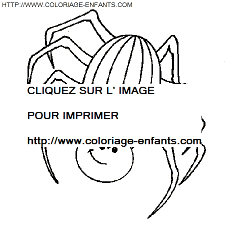 coloriage araignees