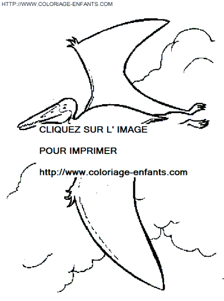 coloriage dinosaure pterodactyle