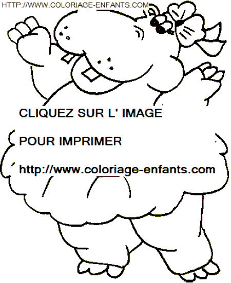 coloriage hippopotames