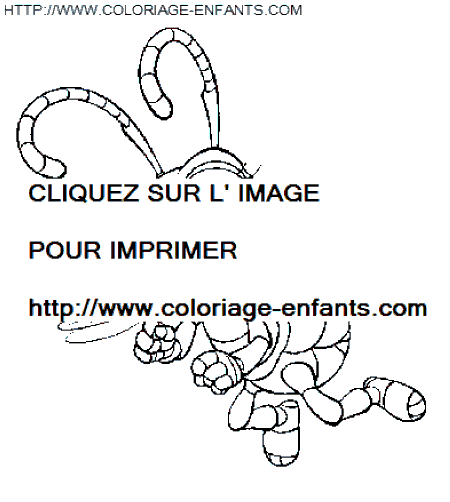 Une Fourmi