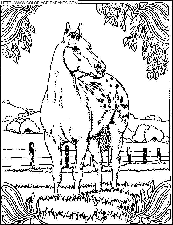 coloriage cheval dans la prairie