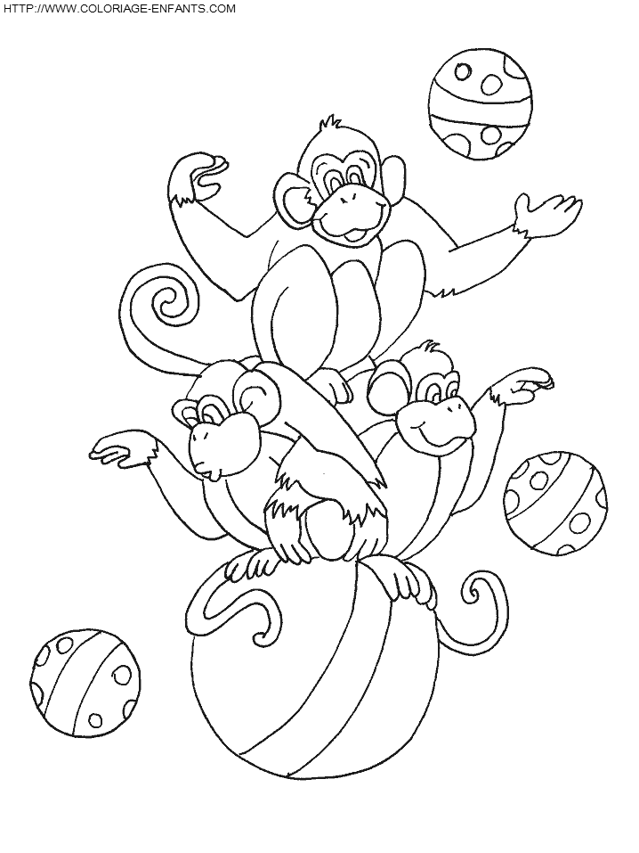 coloriage cirque singes equilibristes