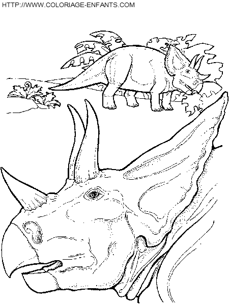 coloriage dinosaure couple de triceratops