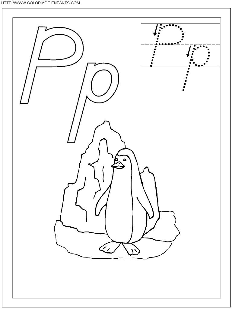 coloriage ecriture 1 lettre p comme pingouin