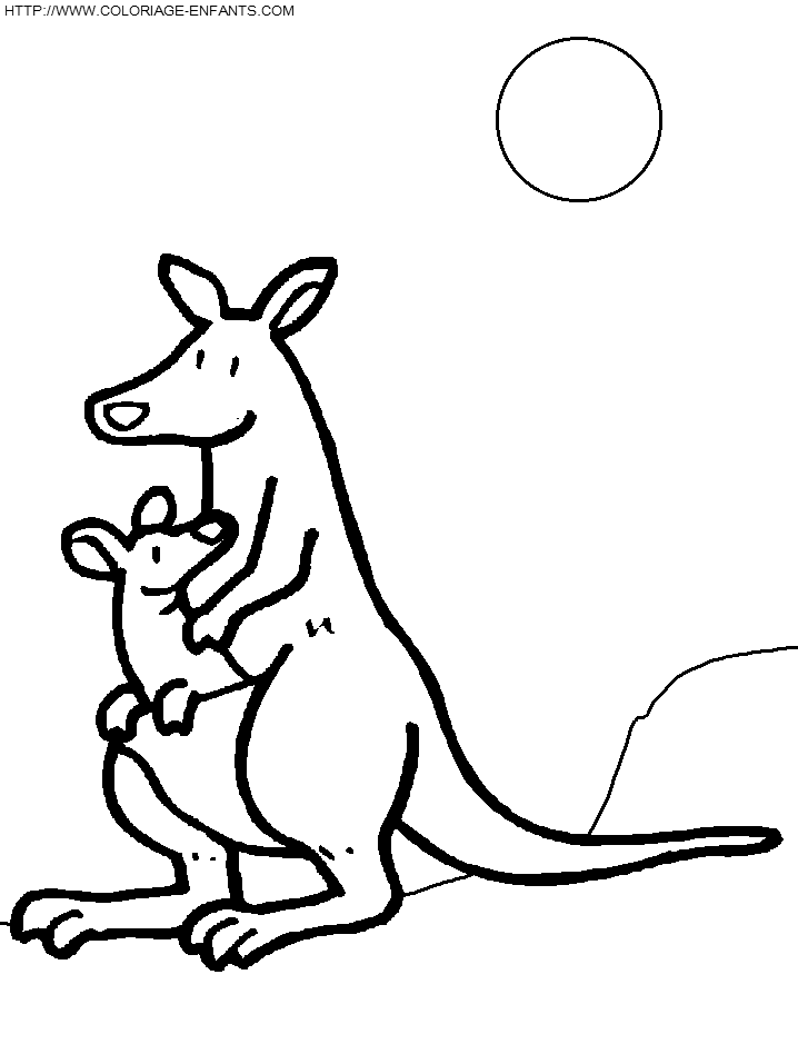 coloriage kangourou animal typique
