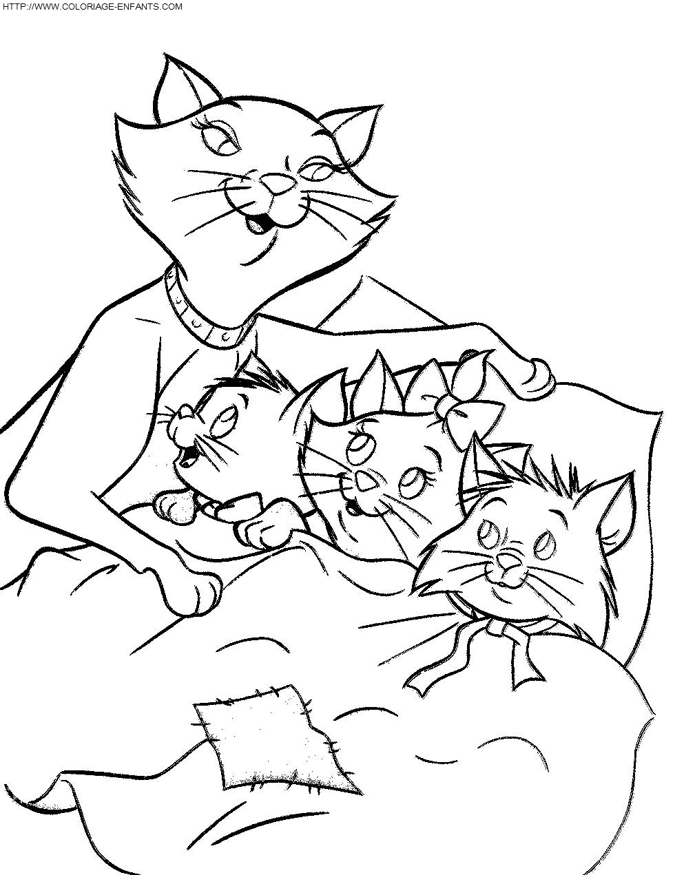 imagesdessine tiny galerie les petits chats source 8i3 coloriage coloriage dessin animaux chats 004