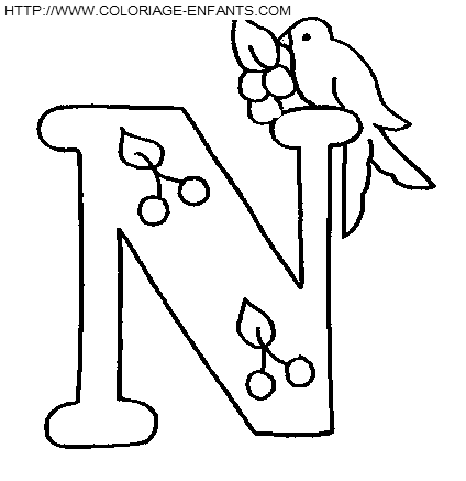 coloriage lettre oiseaux lettre n