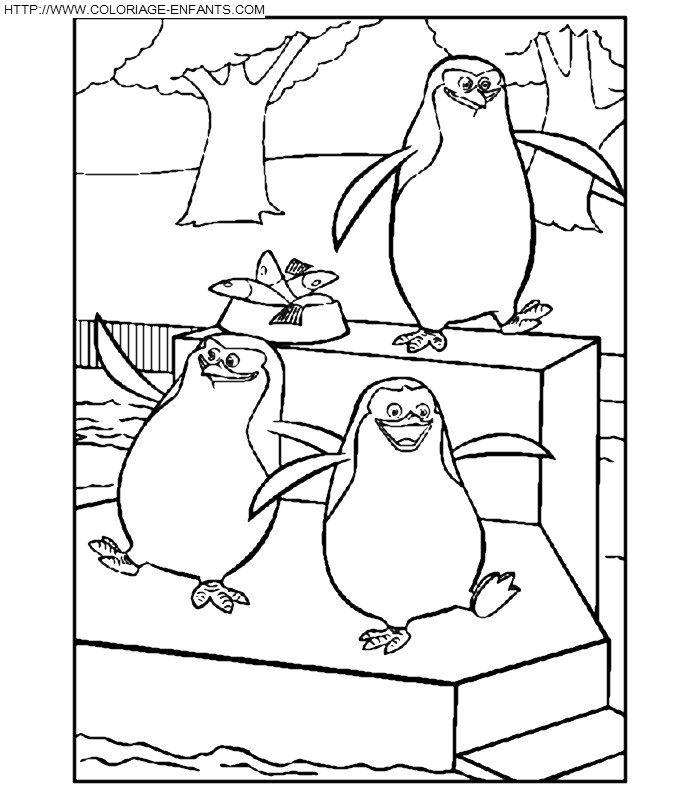 coloriage madagascar pingouins