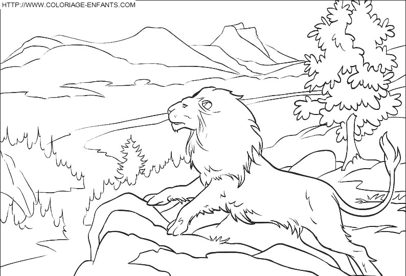 Coloriages Savane  Le paradis des Z'animaux