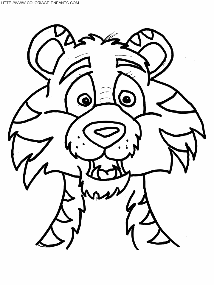 coloriage tete de tigre dessin enfant