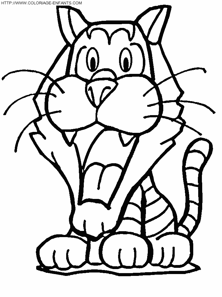 coloriage tigre 3e dessin enfant