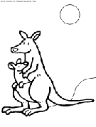 coloriage kangourou animal typique