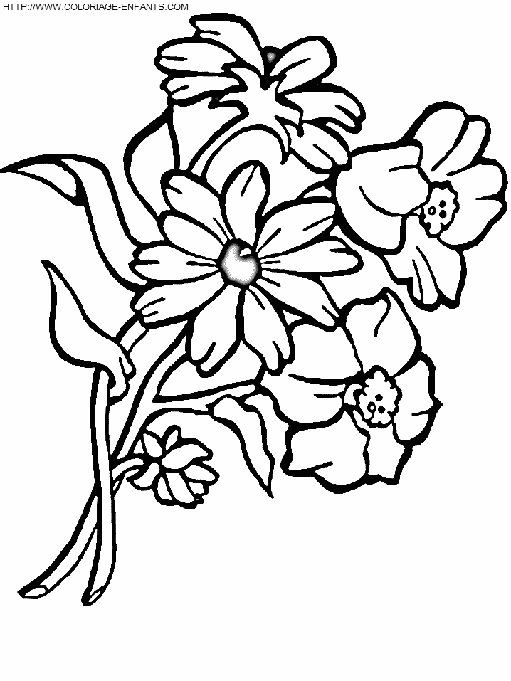 coloriage 3eme fleur