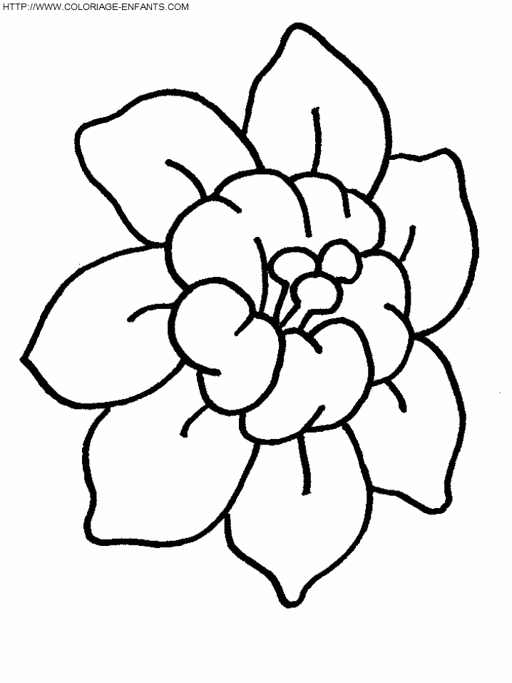 coloriage 4eme fleur