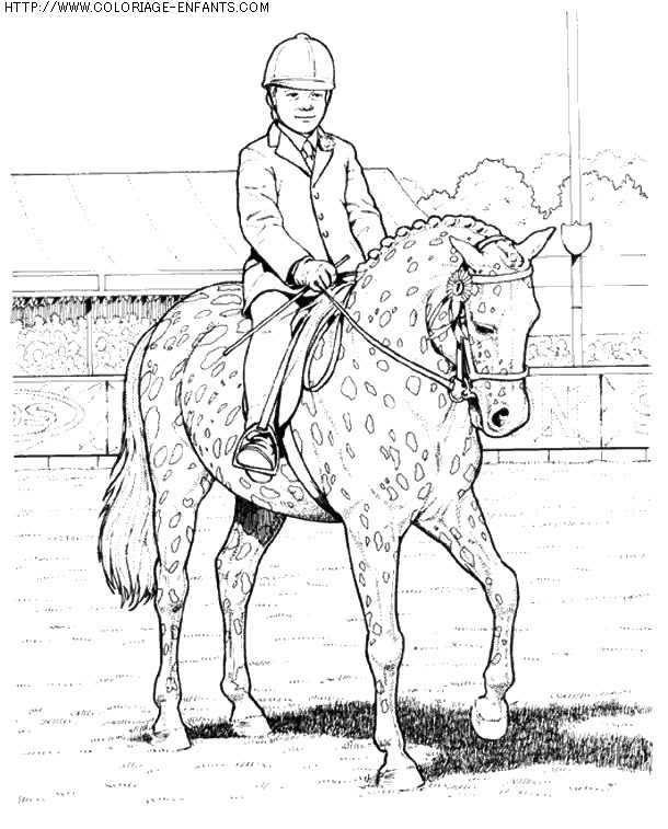 coloriage animaux chevaux