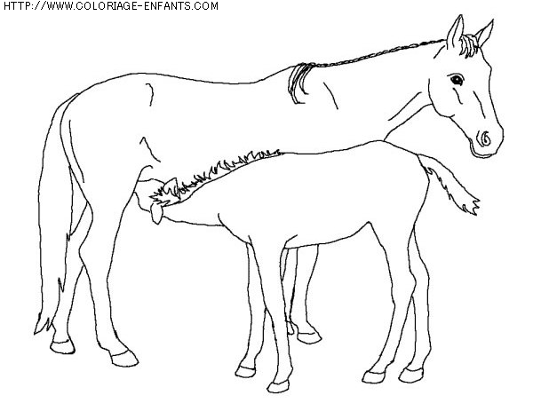 coloriage animaux chevaux