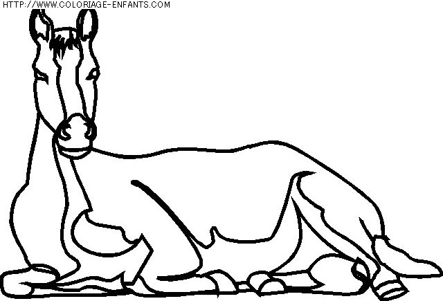 coloriage animaux chevaux