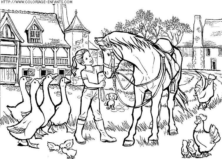 coloriage animaux chevaux