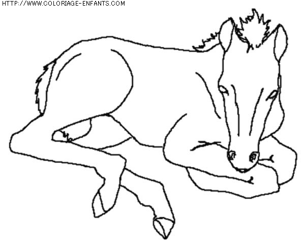 coloriage animaux chevaux