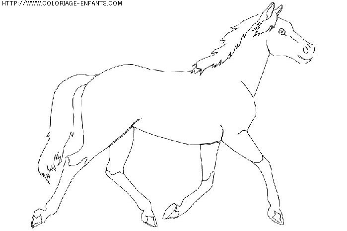 coloriage animaux chevaux