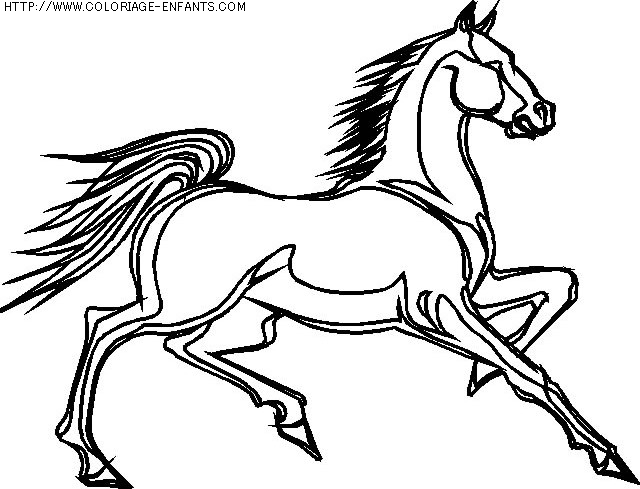 coloriage animaux chevaux