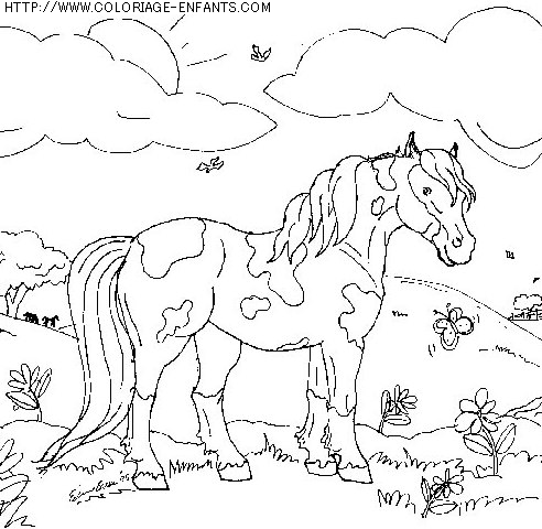 coloriage animaux chevaux