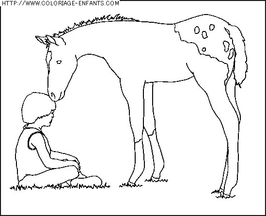 coloriage animaux chevaux