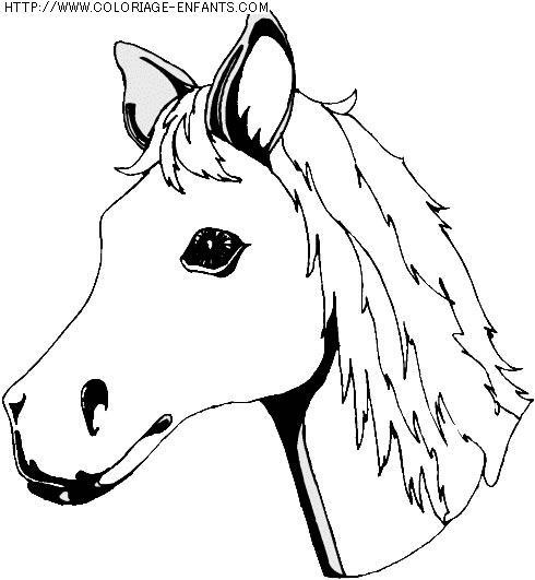 coloriage animaux chevaux