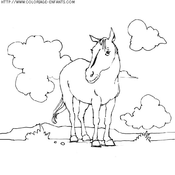 coloriage animaux chevaux