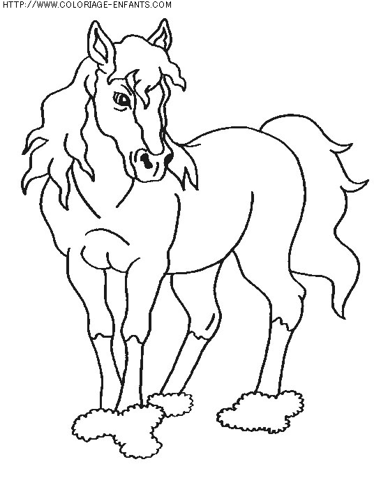 coloriage animaux chevaux