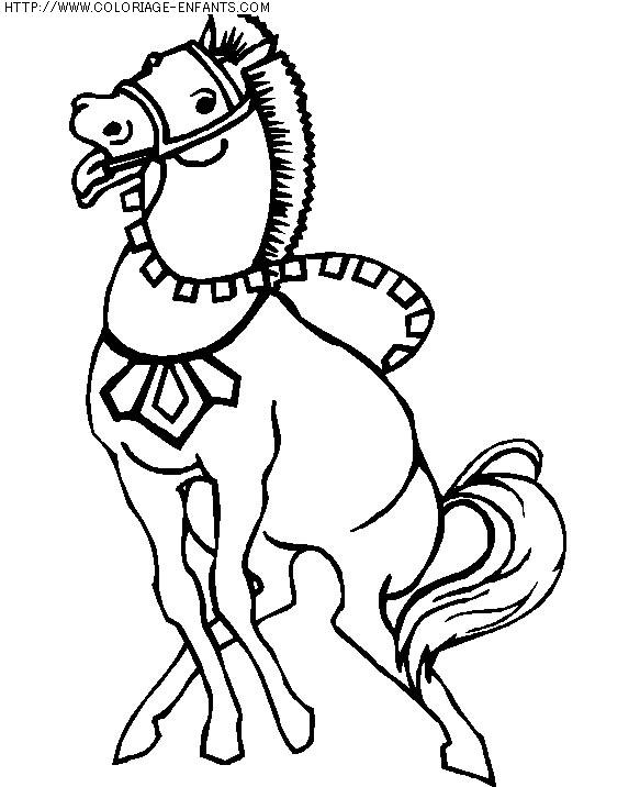 coloriage animaux chevaux