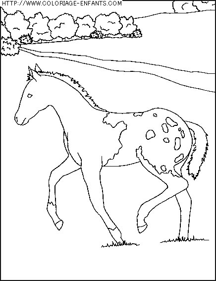 coloriage animaux chevaux