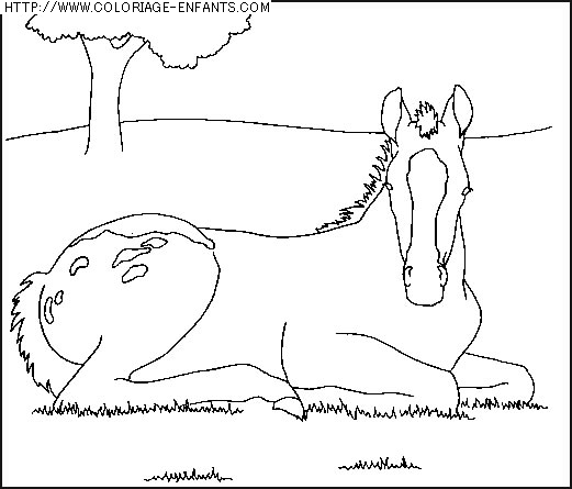 coloriage animaux chevaux