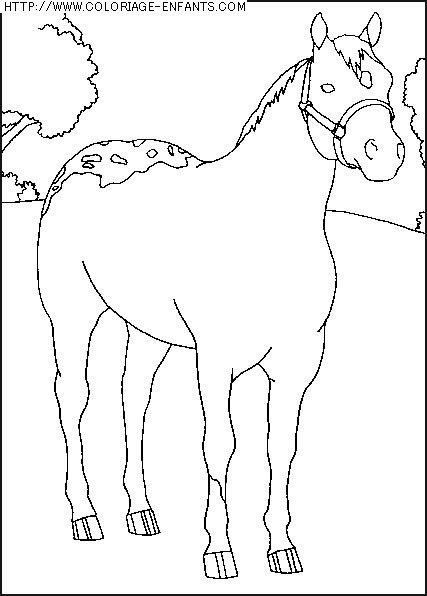 coloriage animaux chevaux