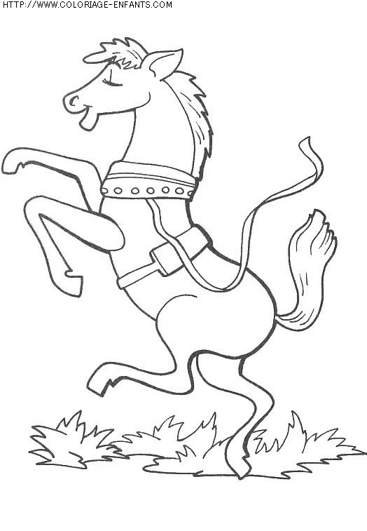 coloriage animaux chevaux