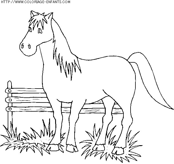 coloriage animaux chevaux