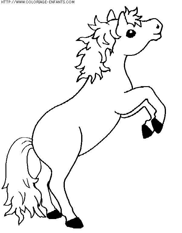 coloriage animaux chevaux