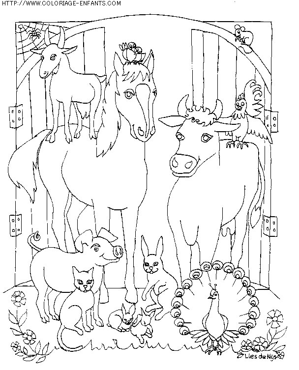 coloriage animaux chevaux