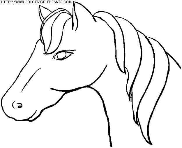 coloriage animaux chevaux