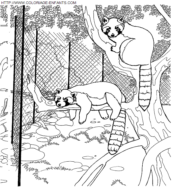 coloriage Animaux Zoo