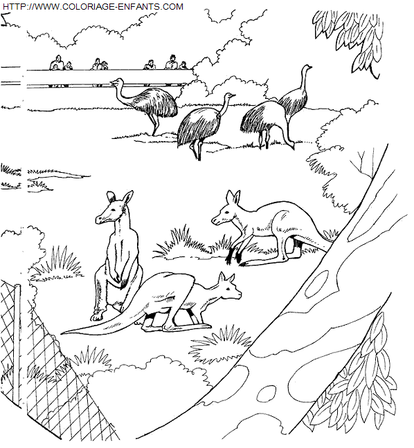 coloriage Animaux Zoo