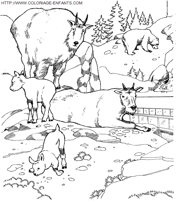 coloriage Animaux Zoo