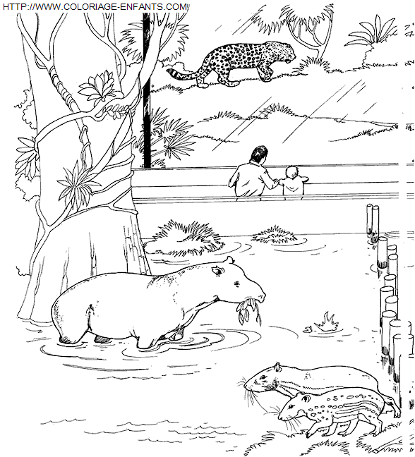 coloriage Animaux Zoo