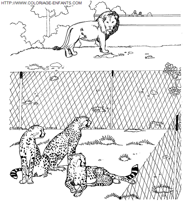 Coloriage Animaux Zoo à imprimer et à colorier