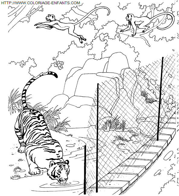 coloriage Animaux Zoo