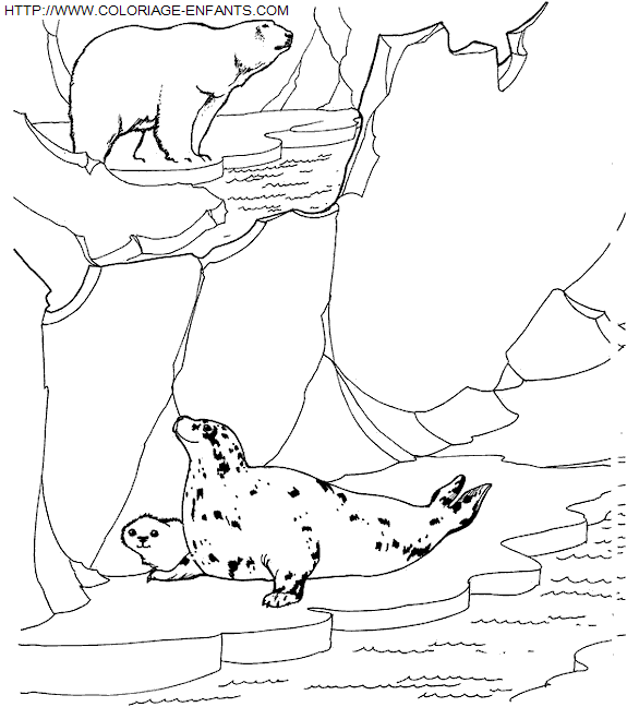 coloriage Animaux Zoo