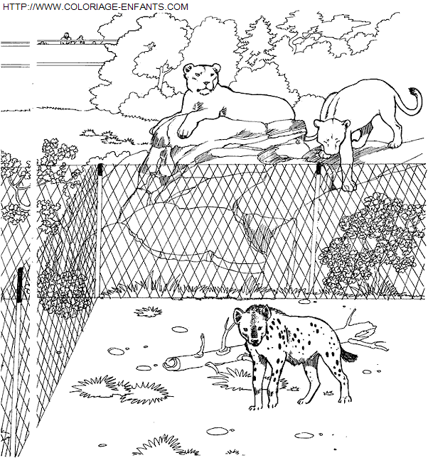 coloriage Animaux Zoo