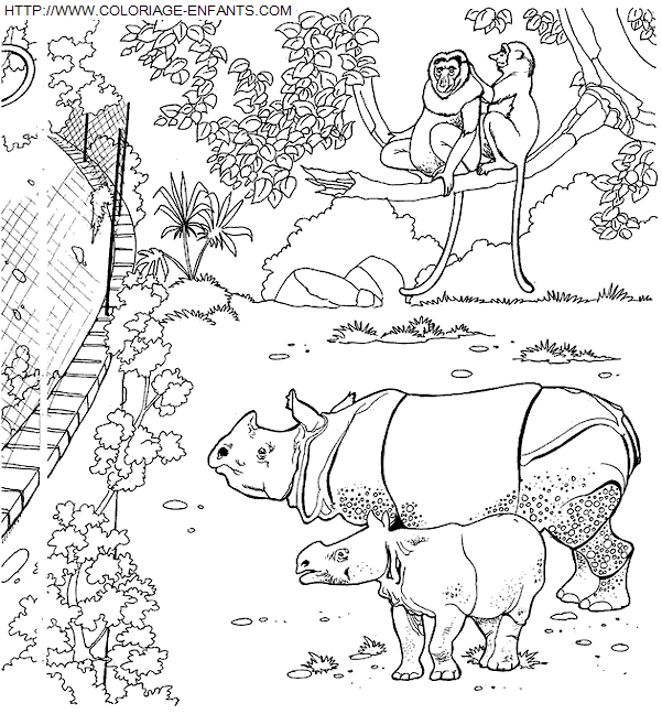 coloriage Animaux Zoo