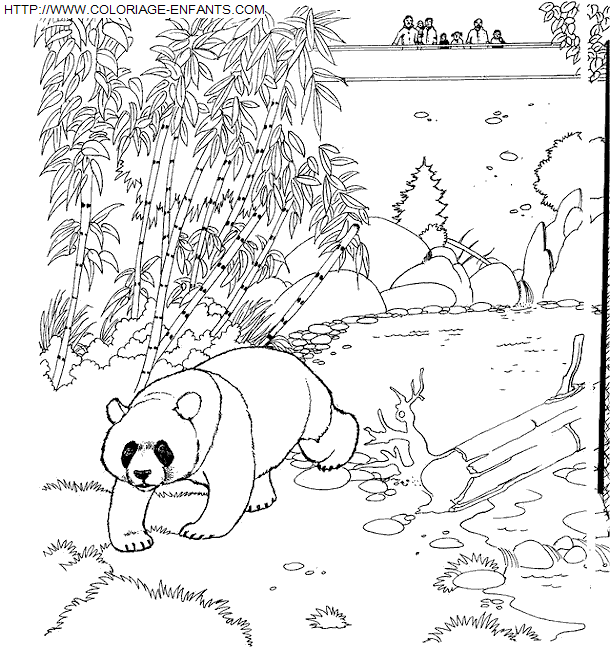 coloriage Animaux Zoo