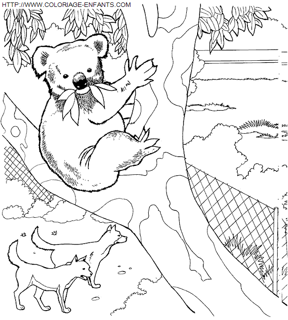 coloriage Animaux Zoo